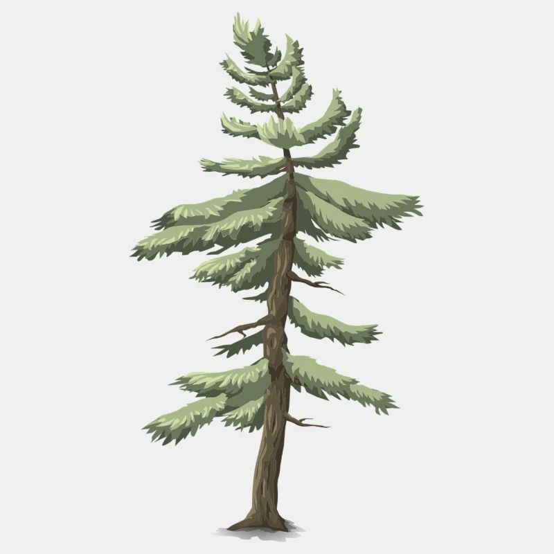 Nadelbaum