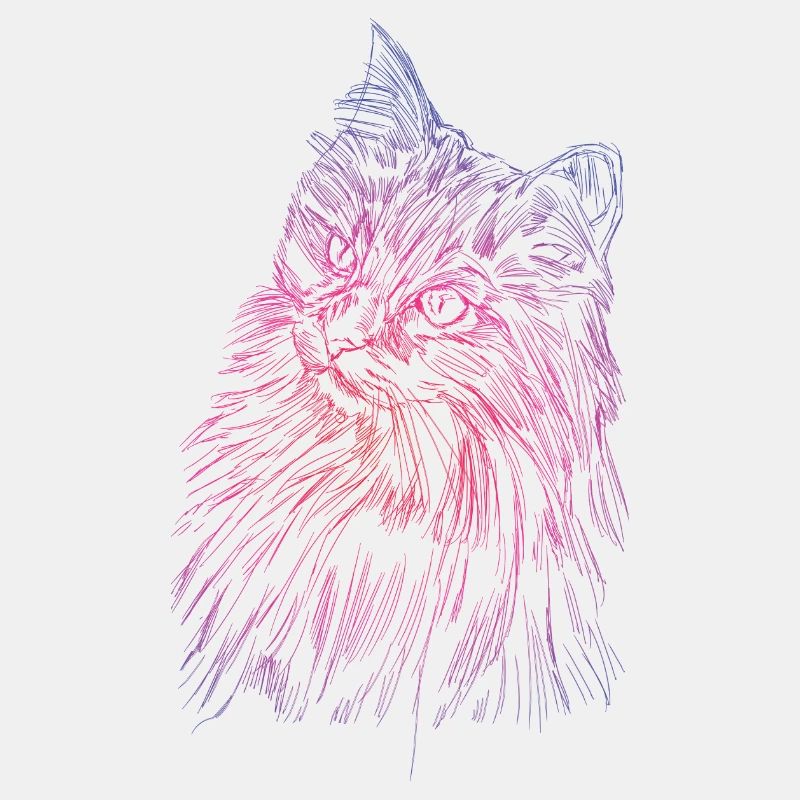 Visage de chat d'un chat persan comme chat domestique