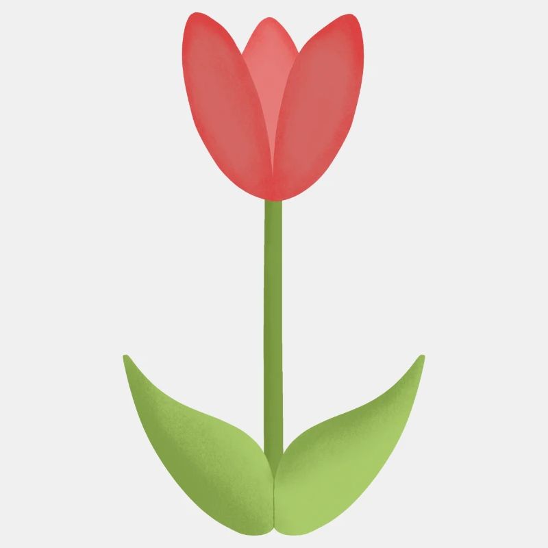 tulipe rouge