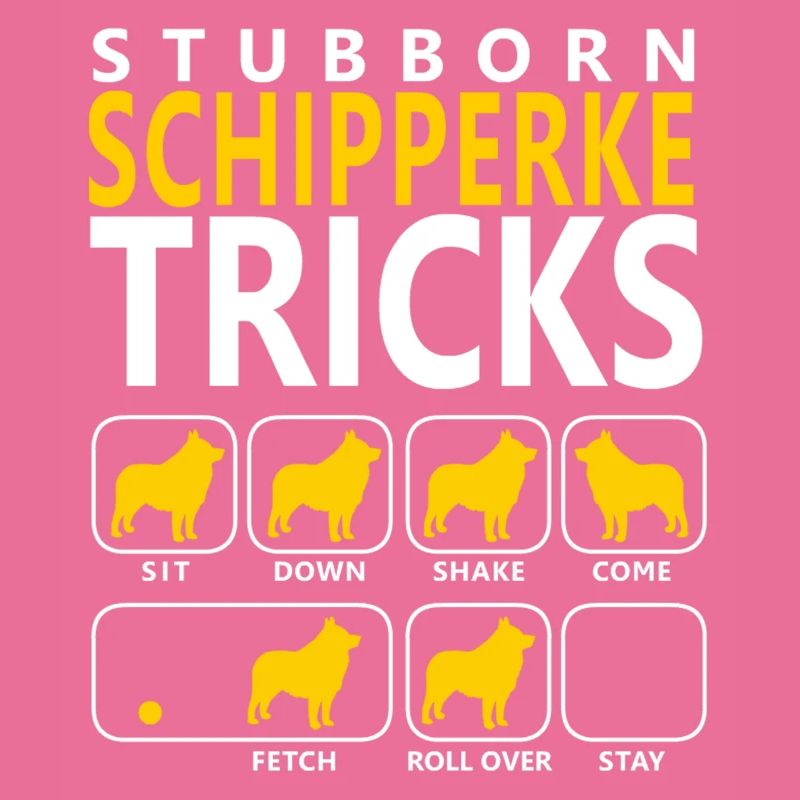 Hartnäckige Schipperke-Tricks