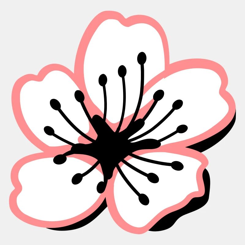 Sakura Kirschblüte