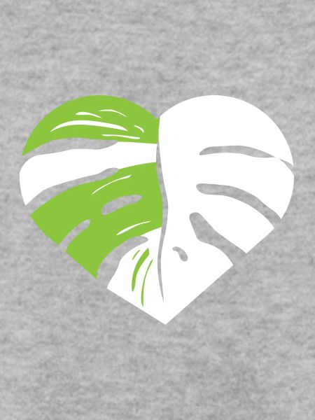 Monstera Herzblatt