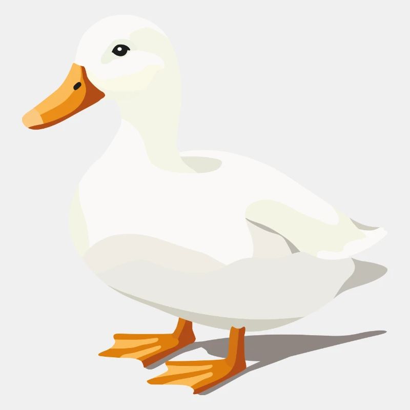 Duck Cute White