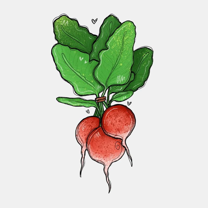 Illustration de radis