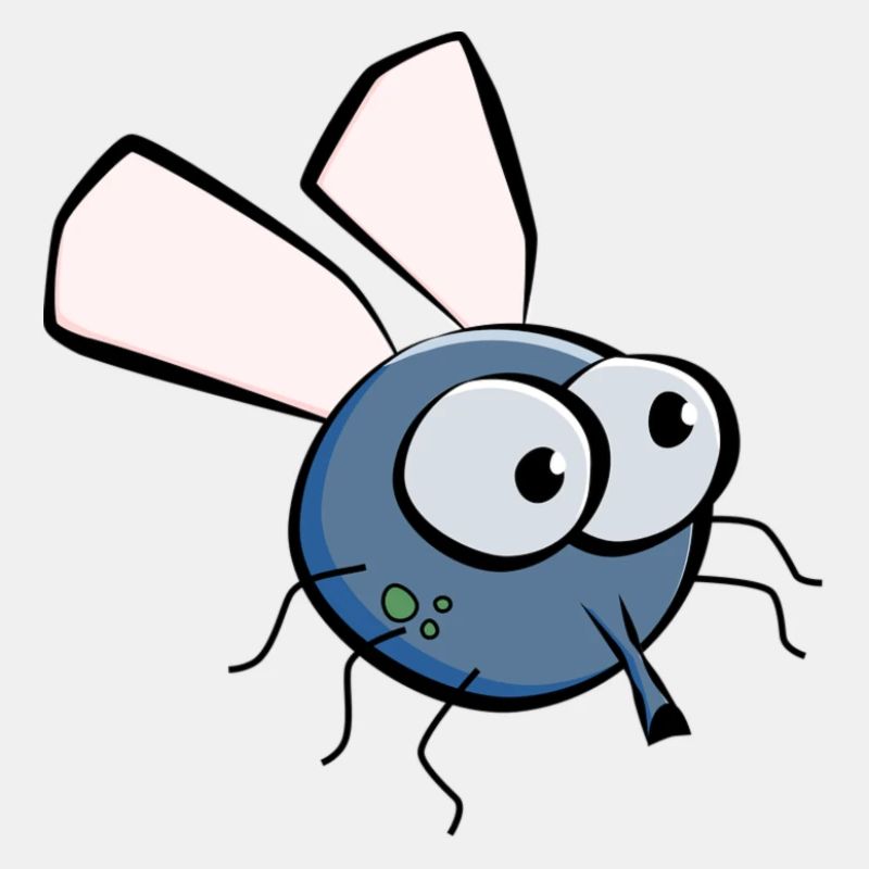 Mouche