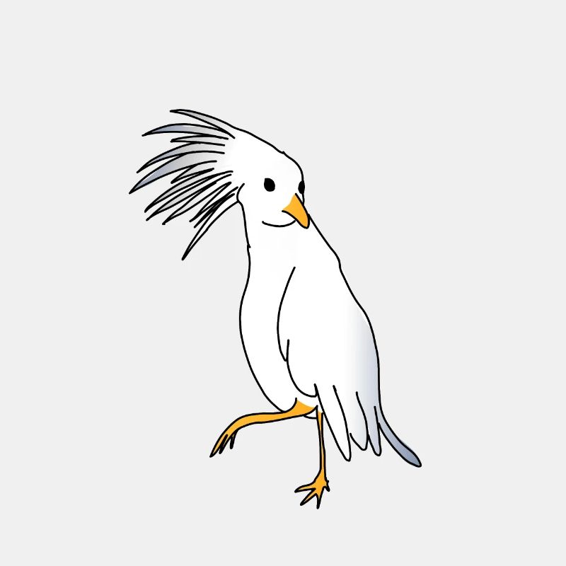 Cagou oder Crested Kagou aus Neukaledonien