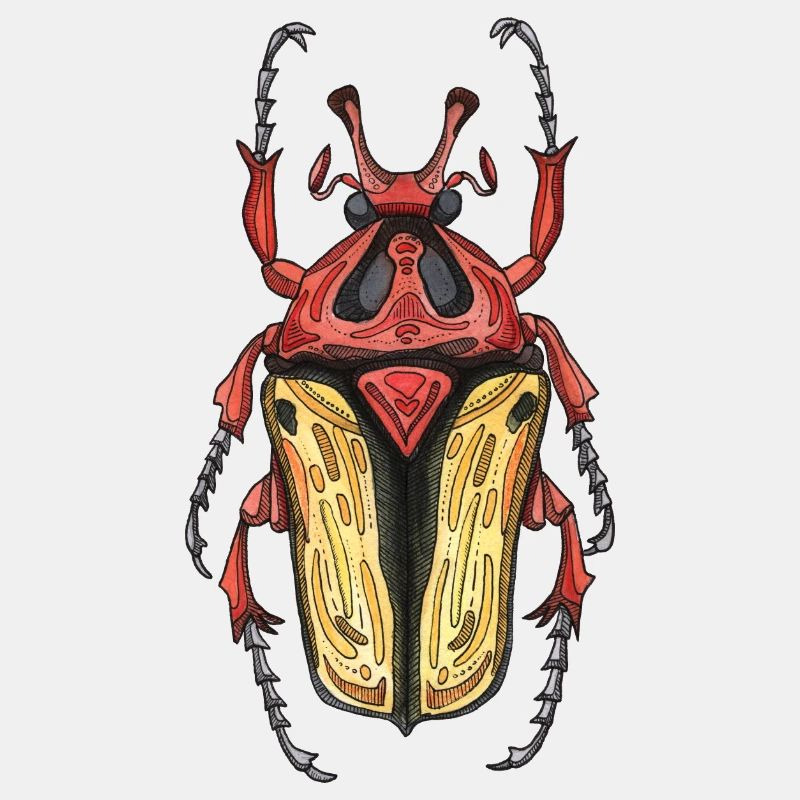 Großer Käferhirsch - Riesenkäferhirsch