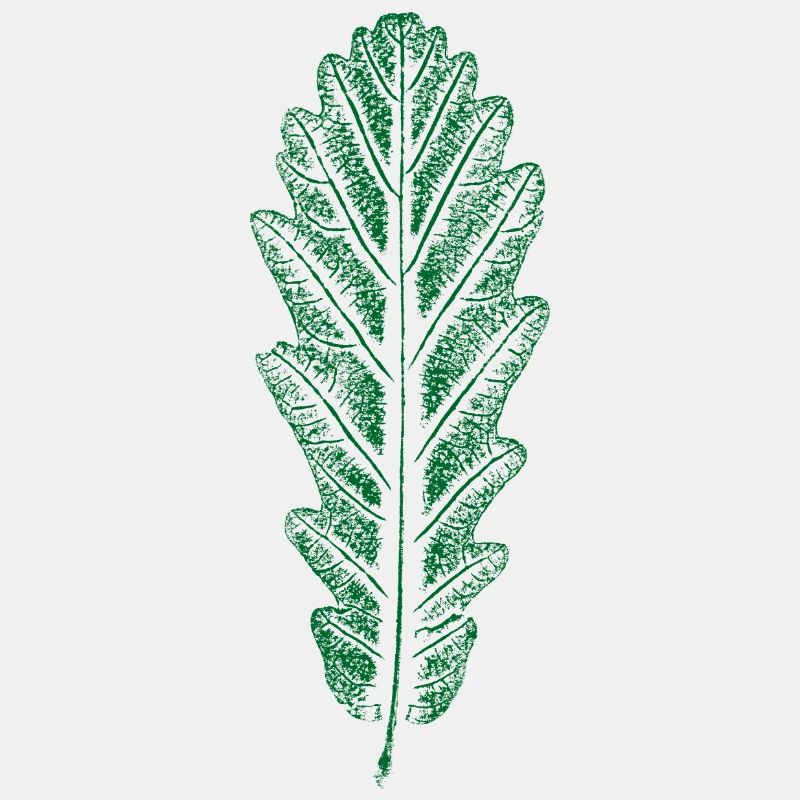 Chêne - Feuille / Feuille de chêne - IMPRIMER