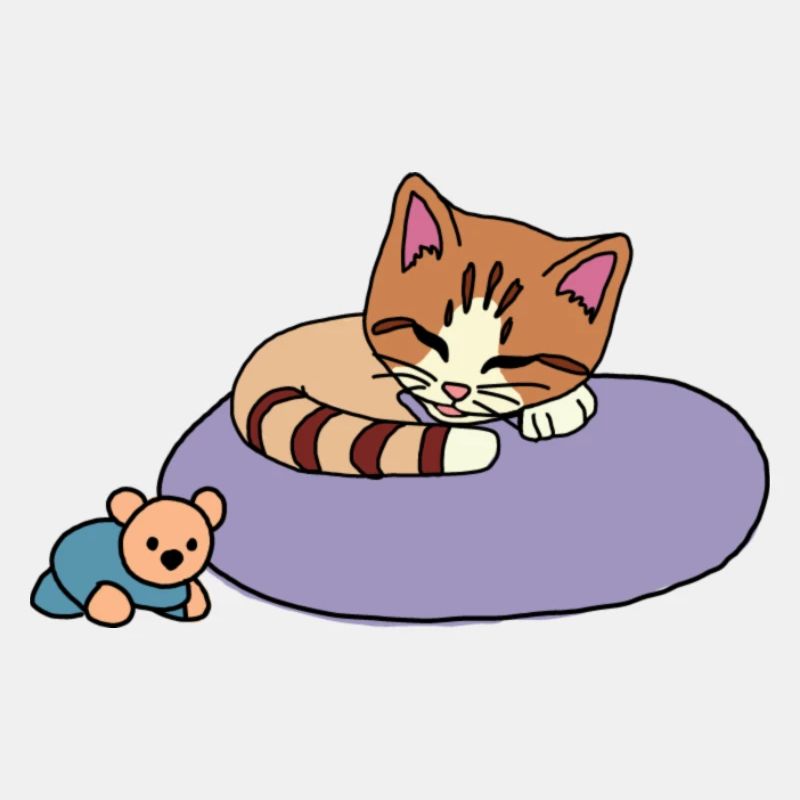 Katze