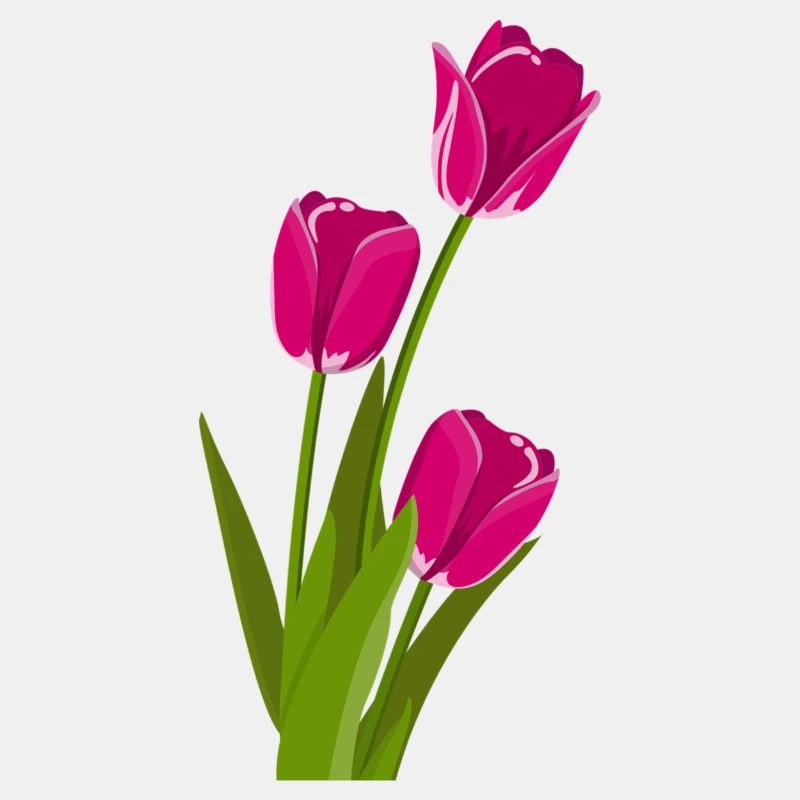 Tulpe Geschenk Geschenkidee
