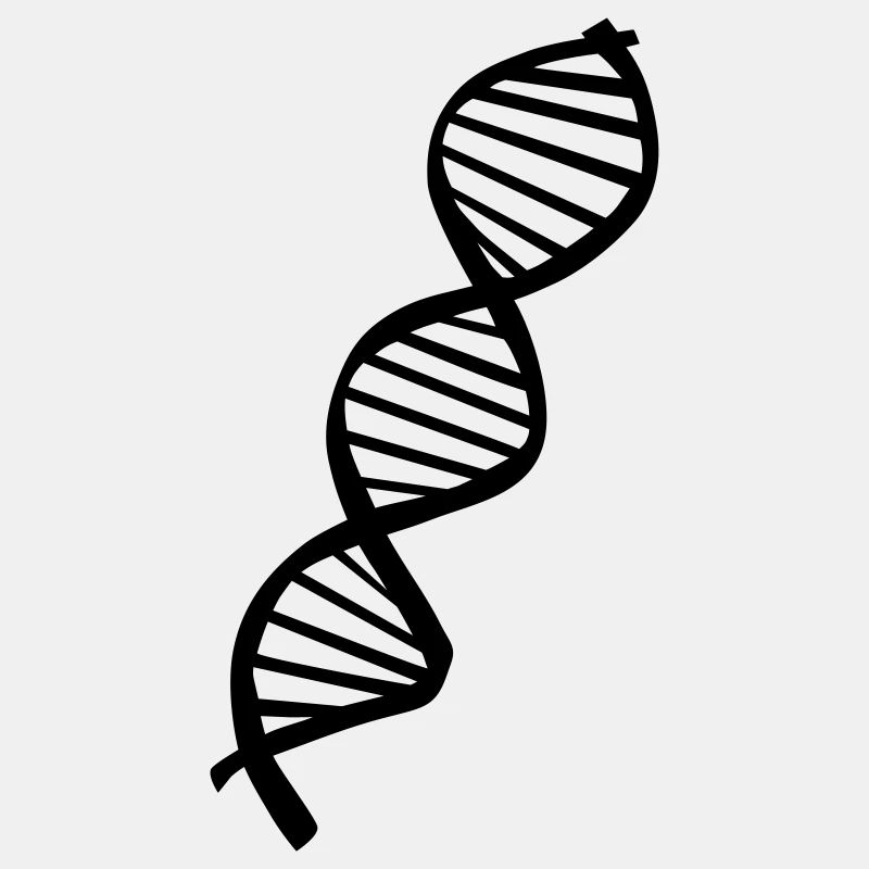DNA