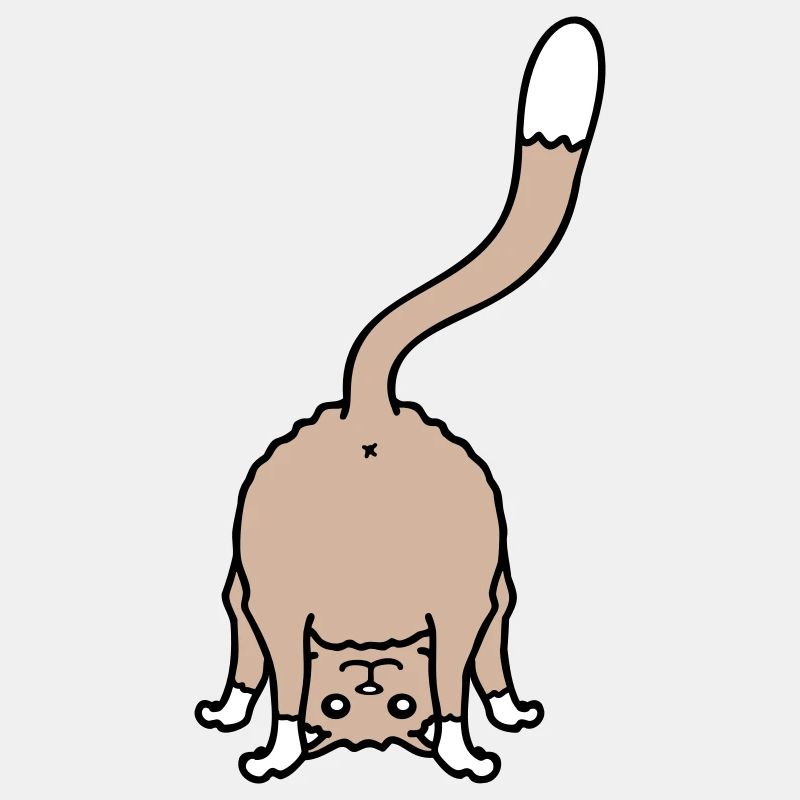 Funny Cat From Behind Shows Backside Ass Fun