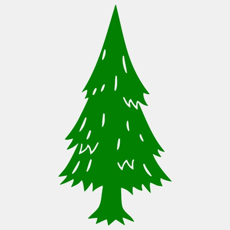 Conifère Sapin Épicéa Pin