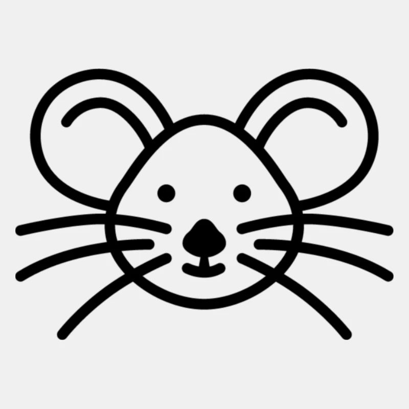 Midnight Mouse Fashion