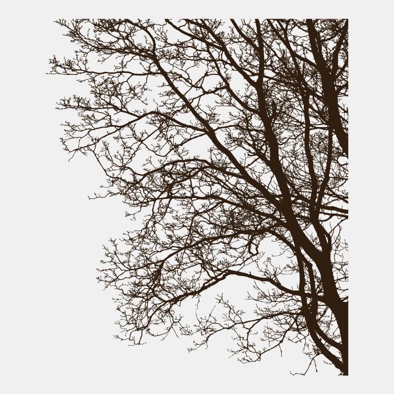 Dark Forest, Dark Woods, Nature Lovers