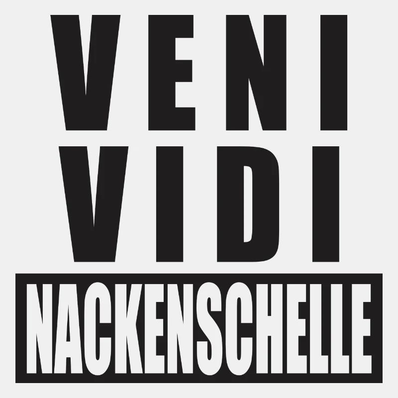 Veni Vidi