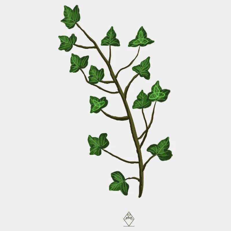 Efeu Trinity