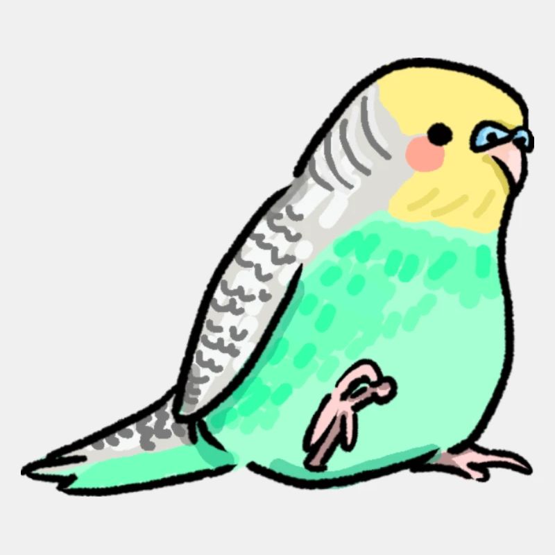 budgie