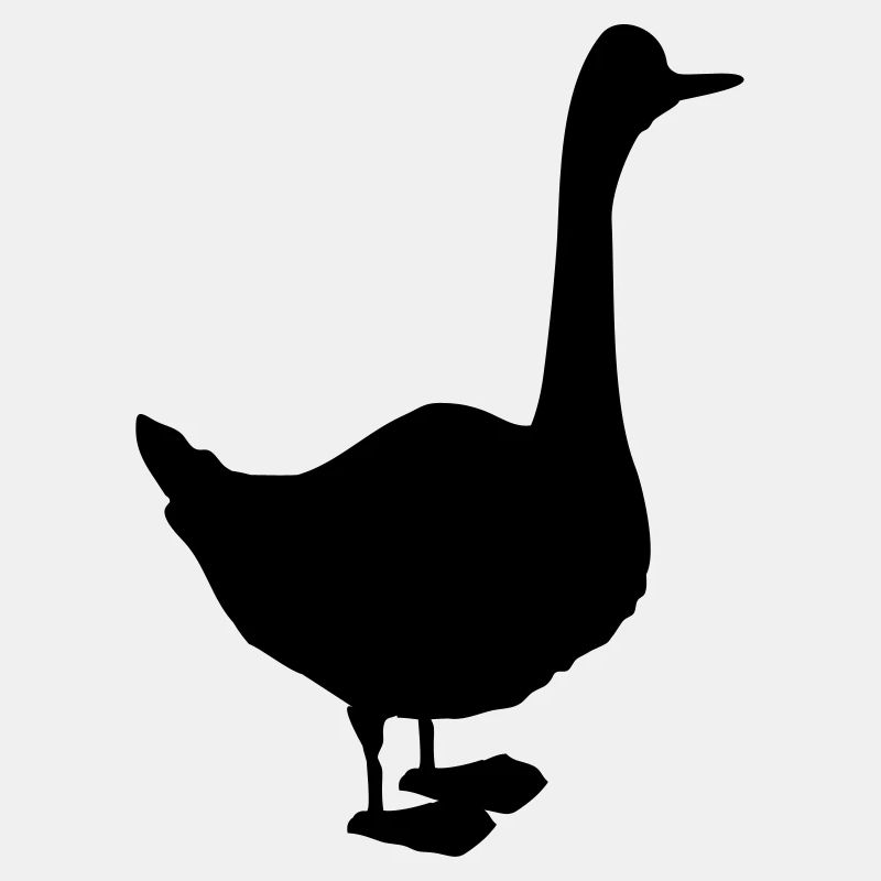 gans