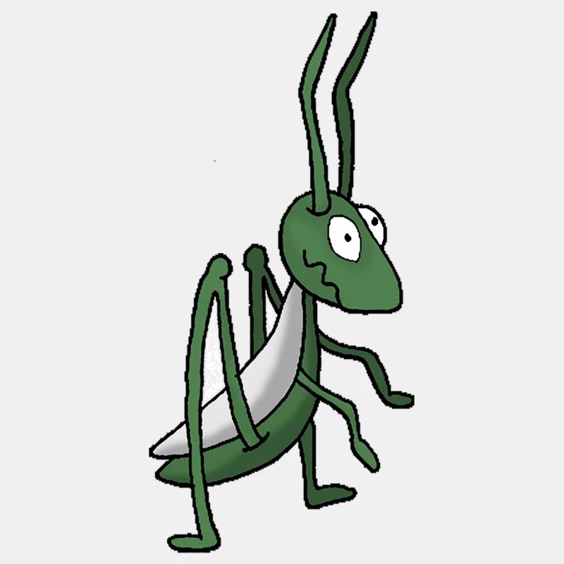 Grasshopper