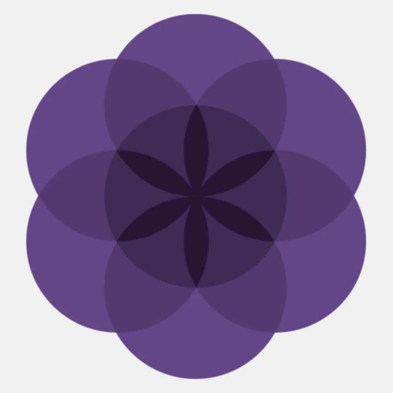 violette Lebensblume