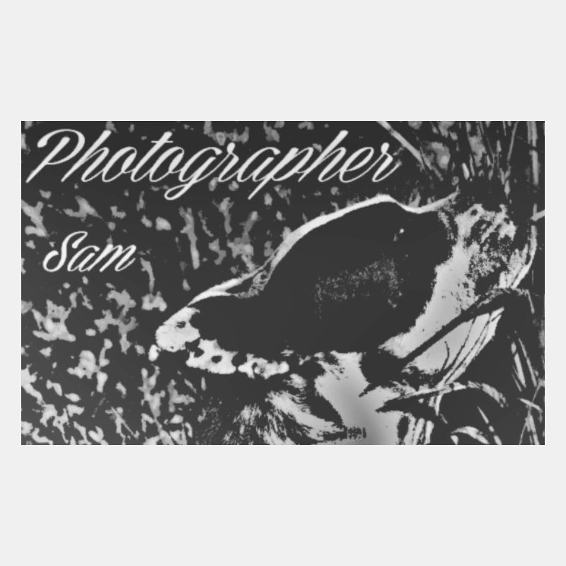 SamPhotographer