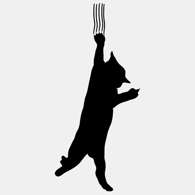 Katze
