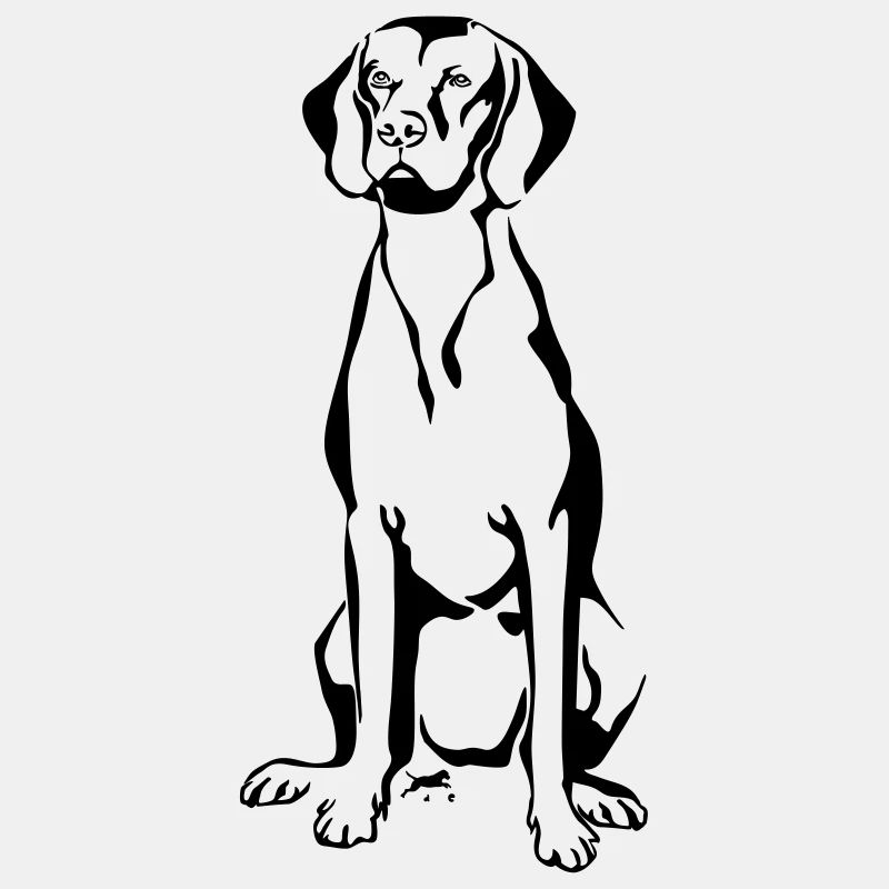 Magyar Vizsla