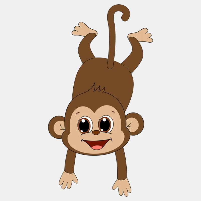 funny monkey