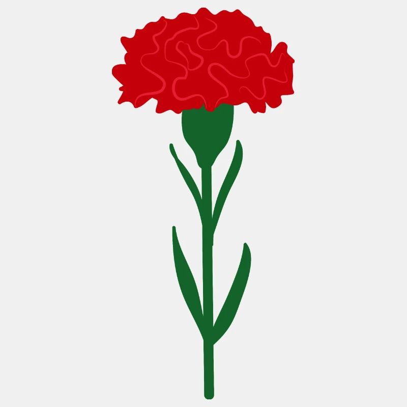 Fleur d’œillet rouge vif unique
