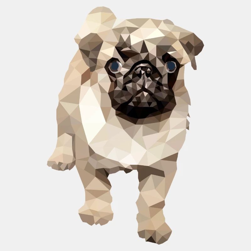 Mops Polygon Hund