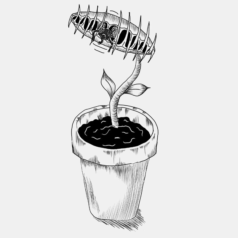 Vénus Flytrap Carnivore Plant Cadeau