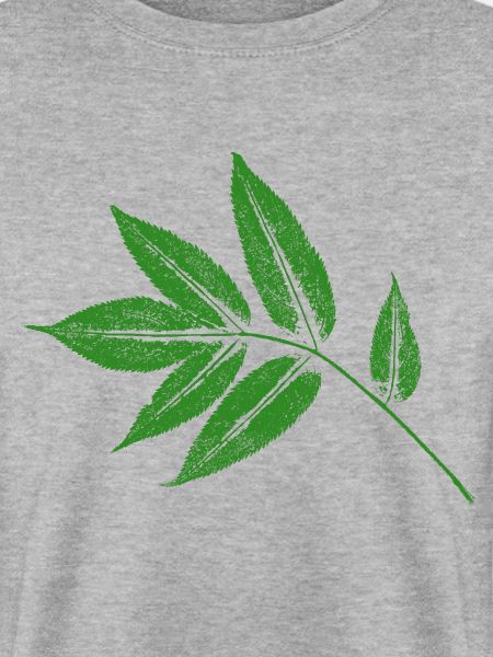 Blatt Esche - Eschenblatt BOTANISCH