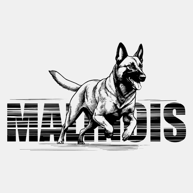 Malinois - Belgischer Schäferhund -Mechelaar