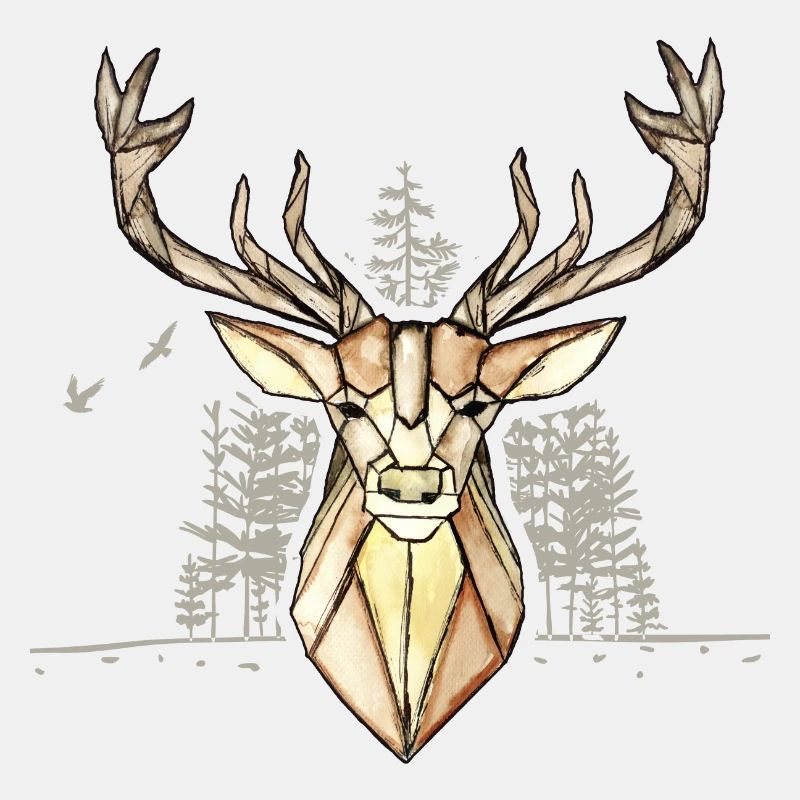 Hirsch Wald Outdoor