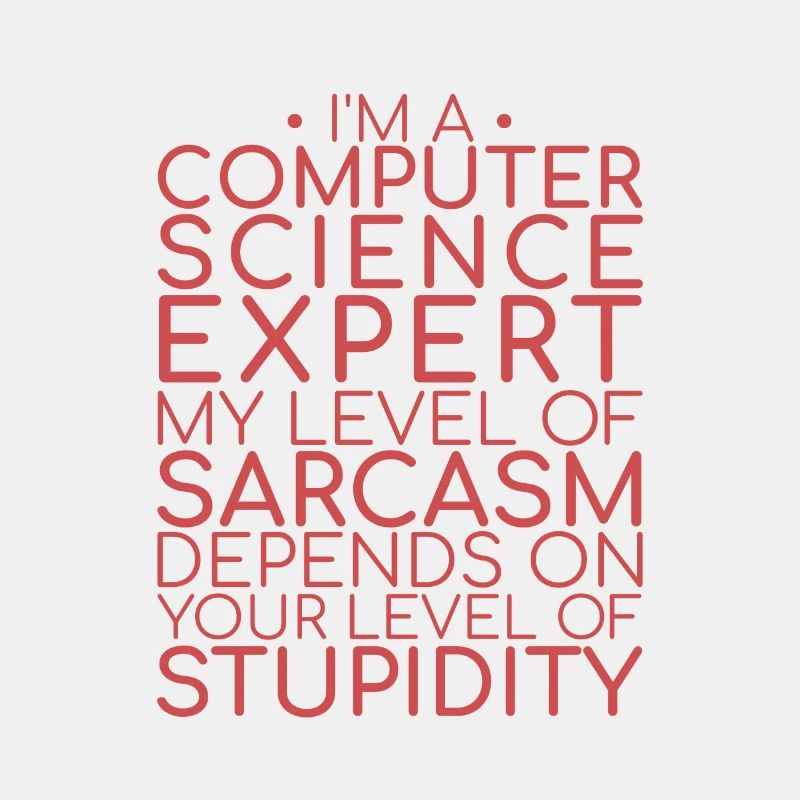 « Sarcasme d’expert en informatique | Informatique »