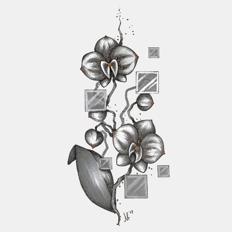 Orchidee