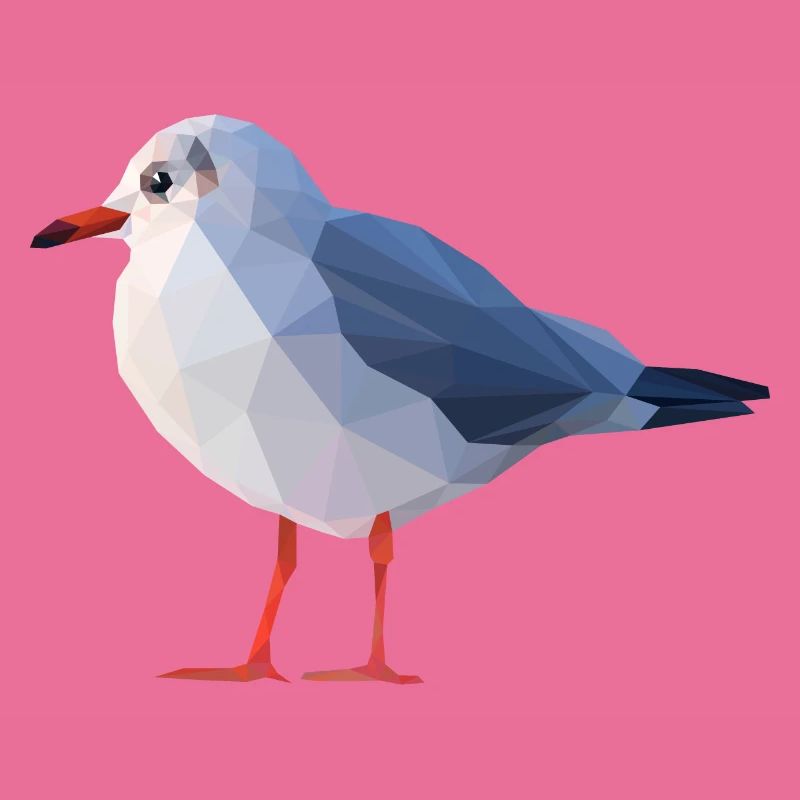 Möwe