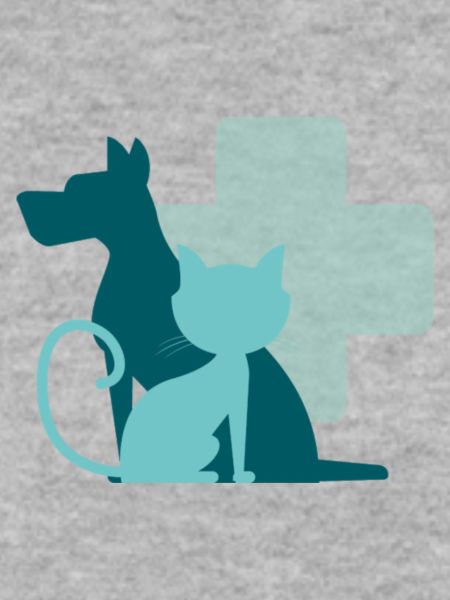 Veterinär, ein wichtiger Beruf