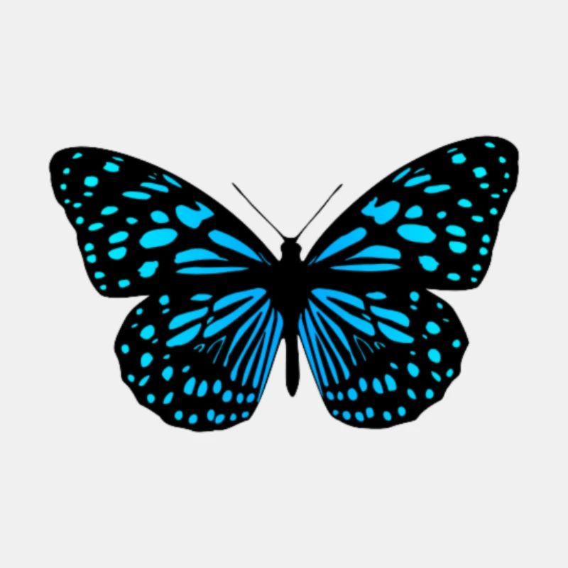 Schmetterling blau