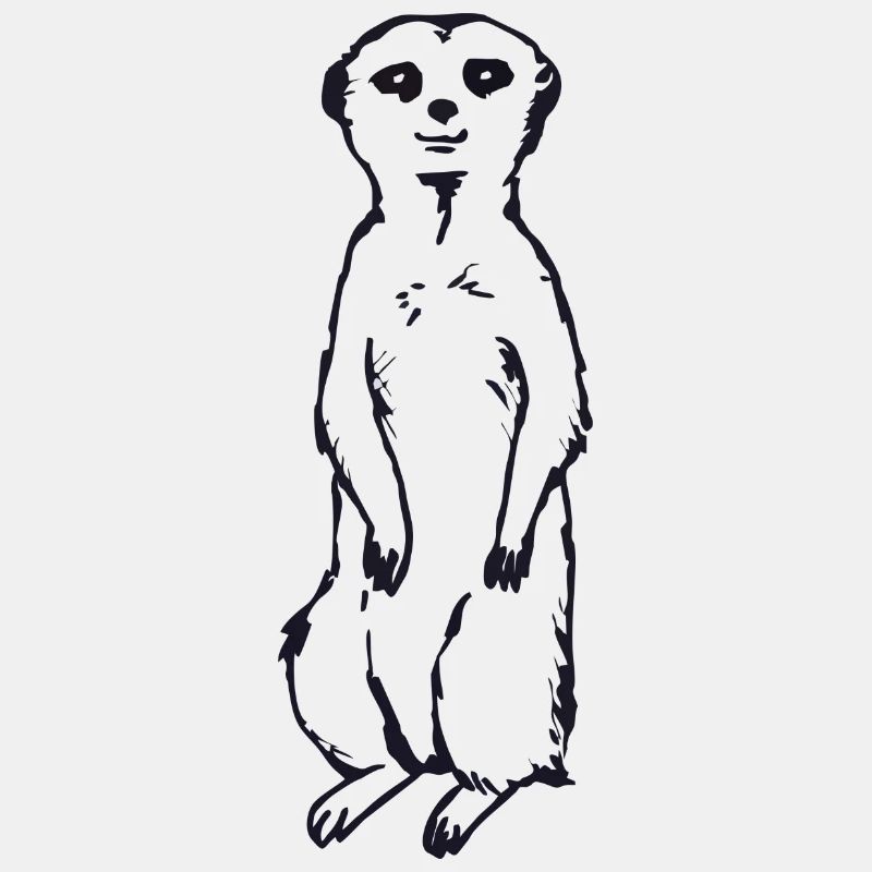 Idée cadeau bébé suricate