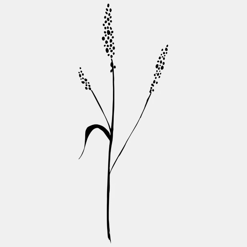 blume