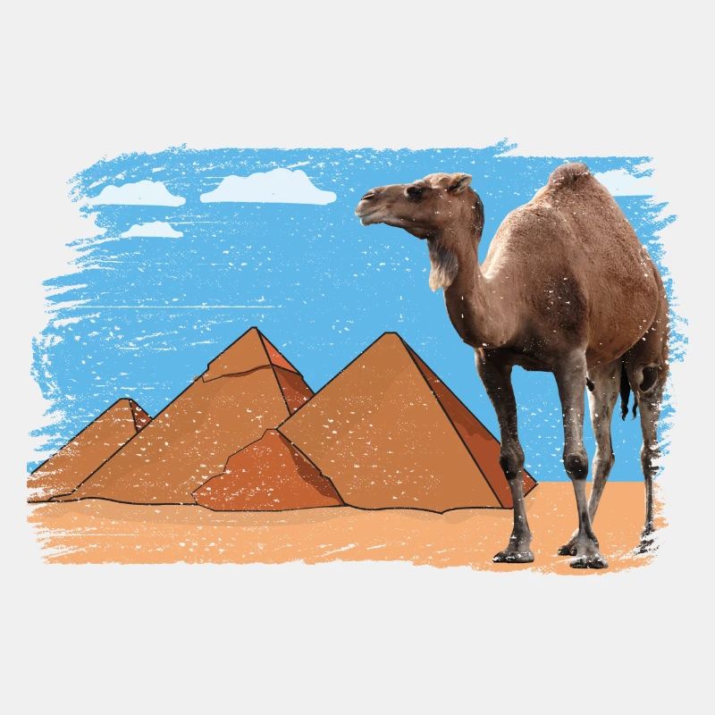 Chameau devant les pyramides