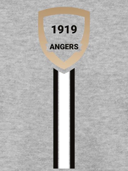 Fußballverein Angers