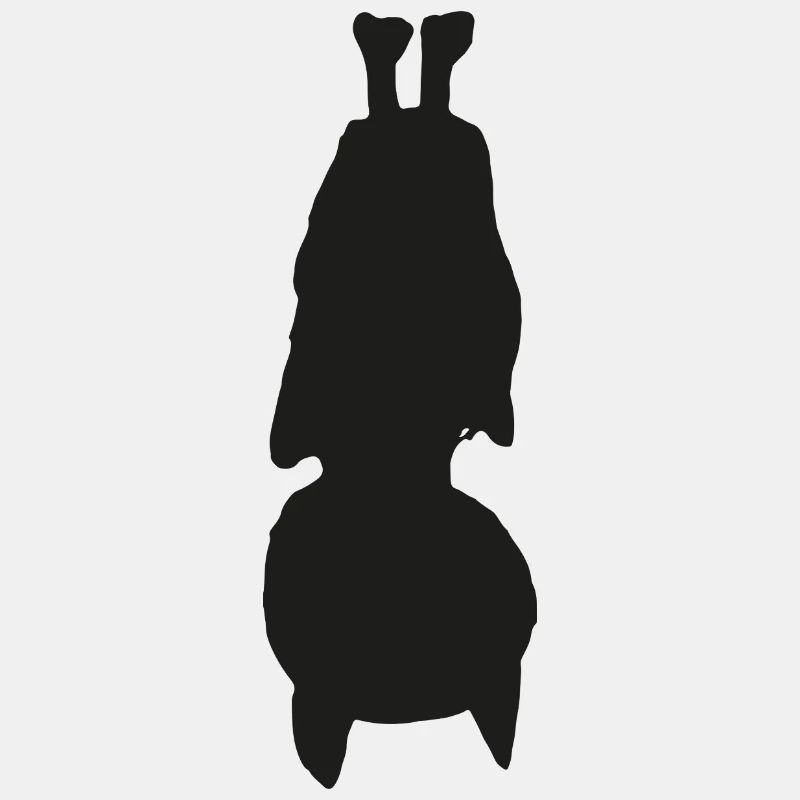 Fledermaus