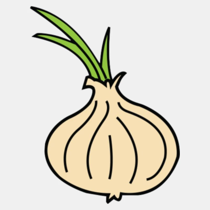 Zwiebel/Onion
