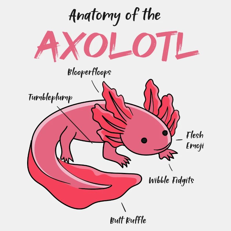 Axolotl Anatomie