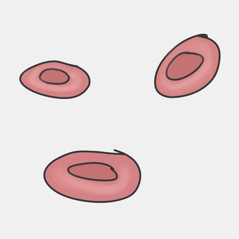 Cellules de cellules de sang