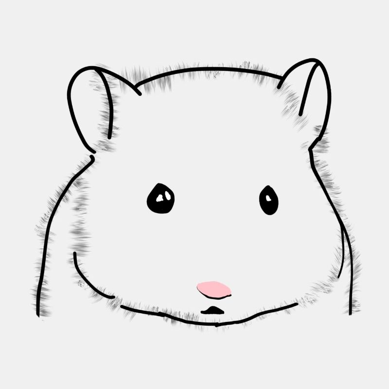 Hamster süß Tiere
