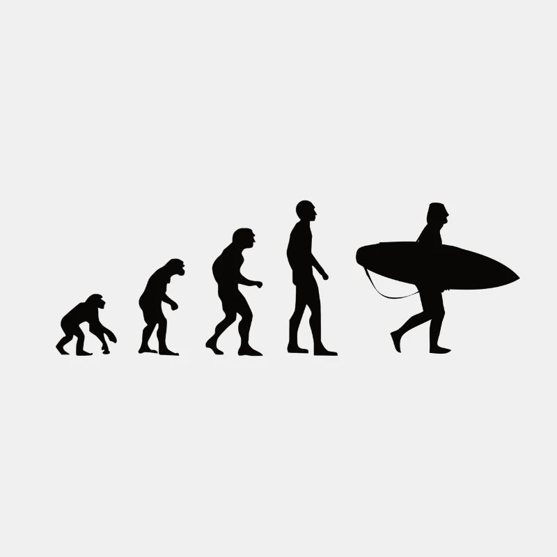 Evolution Surfen